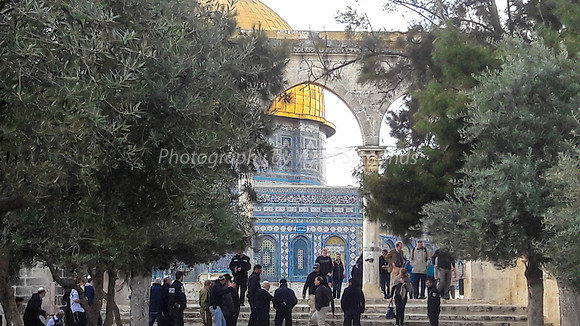 Jewish Visitors Meet  Tourists 1