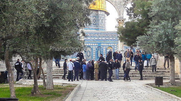 Jewish Visitors Meet  Tourists 2