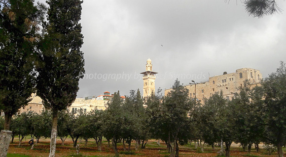 Antonia Fortress 170402-1