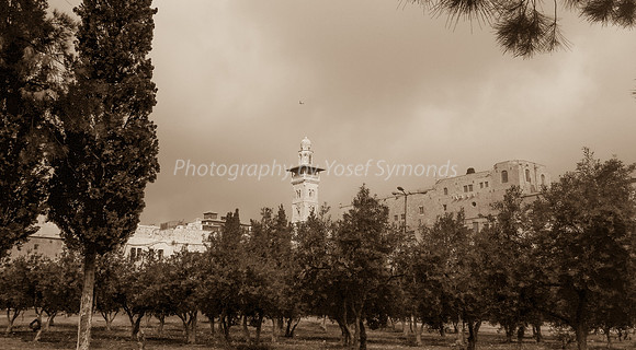 Antonia Fortress 170402-3