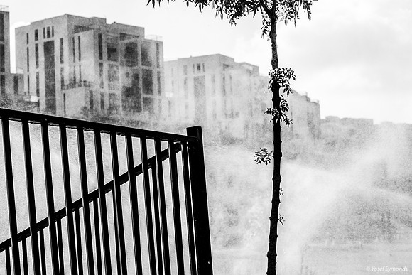 Watering Time 250720-4