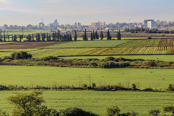 Agricultural Land Opposite Airport City 1