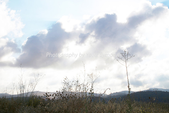 Mishkafayim 2014 Q3 7990C