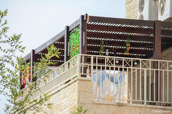 Tzanua Party Sukkah