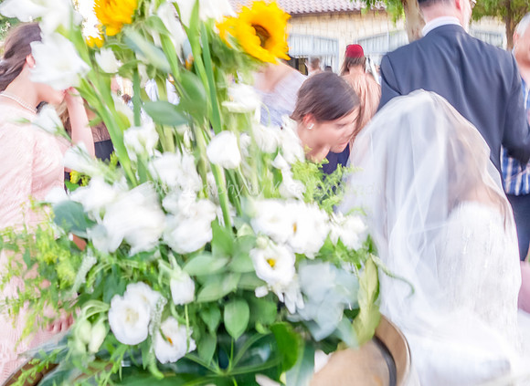 Bride Greeting and Blessing Guests 1