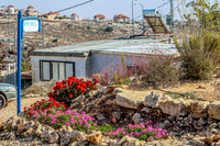 Home and Garden 131204-1
