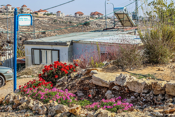 Home and Garden 131204-1