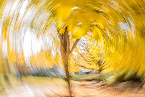 Caught in the Wind