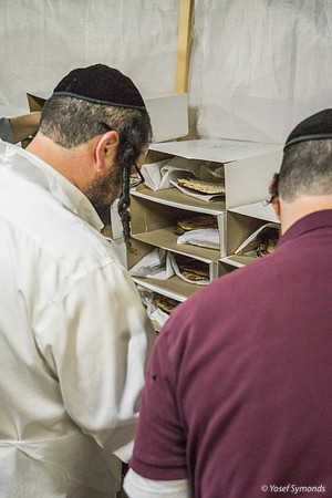 Boxing the Matza 190408-2