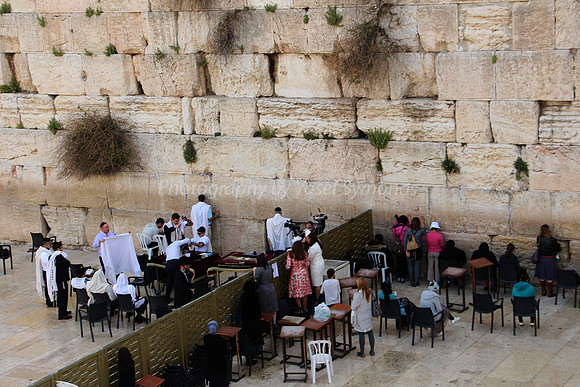 Western Wall קוטל המערבי