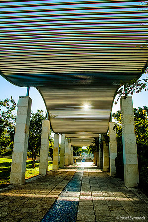 Undulating Pathway Cover - Park Ayalon - 12