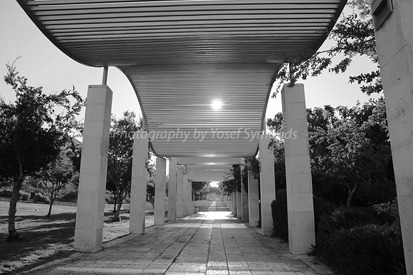 Undulating Pathway Cover - Park Ayalon - 9
