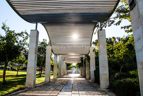 Undulating Pathway Cover - Park Ayalon - 10