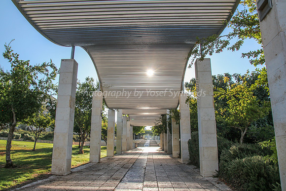 Undulating Pathway Cover - Park Ayalon - 11