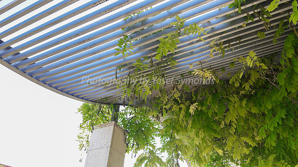 Undulating Pathway Cover - Park Ayalon - 4
