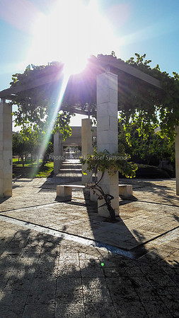 Pyramidal Pathway Cover Park Ayalon