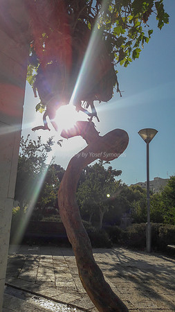 Starburst in Park Ayaylon 1