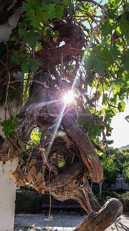 Starburst in Park Ayaylon 3