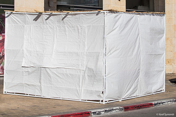 Plain Jane Sukkah 241023-2