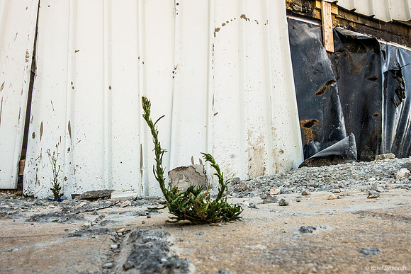 Industrial Cracks on Rundown Sidewalk-1