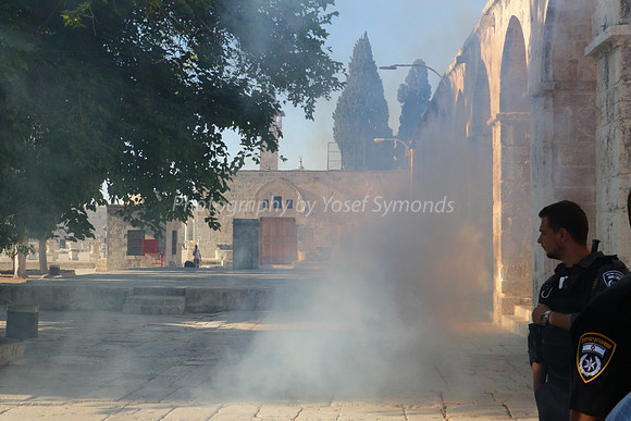 Holy Smoke 11