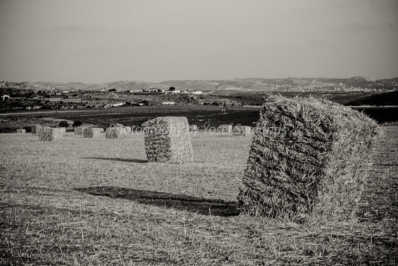 Haystacks in Field 170721-31