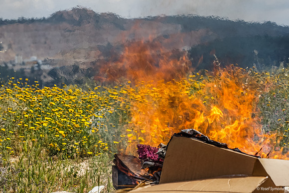 Leaven Going Up in Flames with Daisy Fields and Hills in Background 250411-1