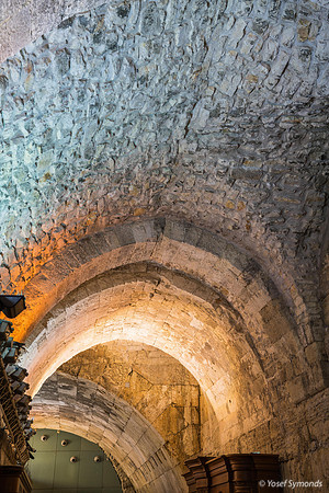 Follow the Glow DSC03953