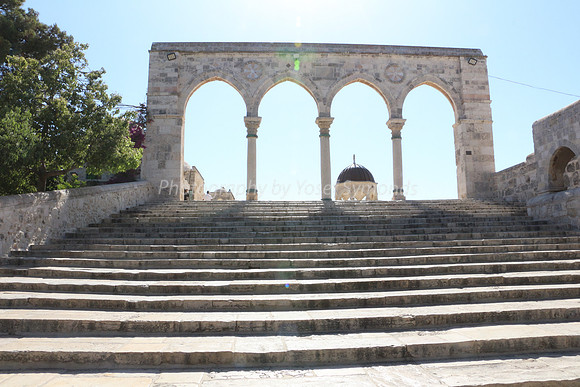 The Steps 3
