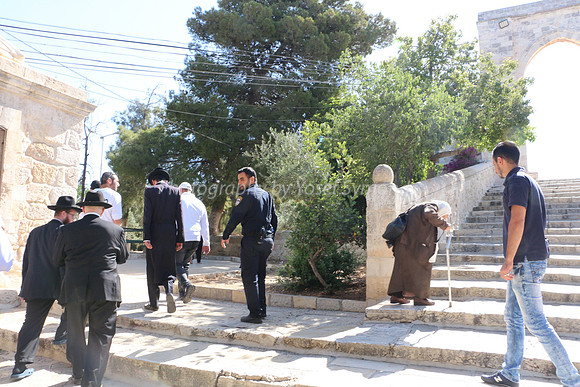 The Steps 5