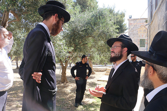 Halachic Discussion