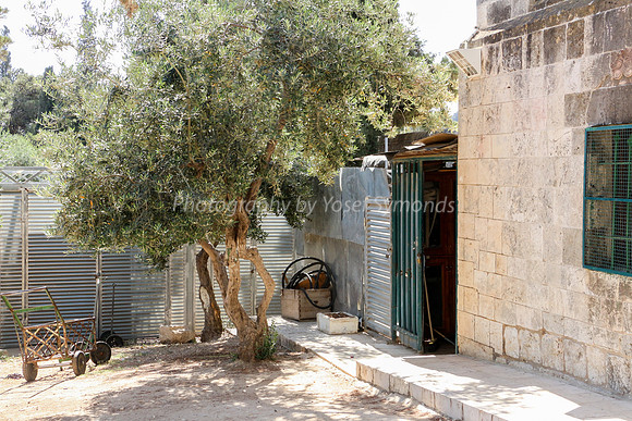 Unidentified Works along Line of Northern Har Habayit Wall 1