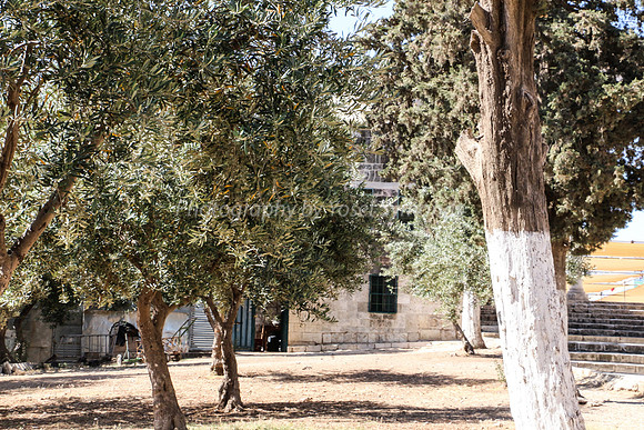 Unidentified Works along Line of Northern Har Habayit Wall 2