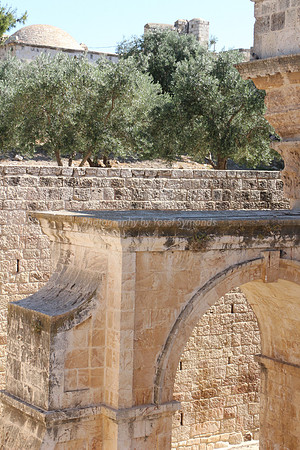 Mercy Gate 170529-1