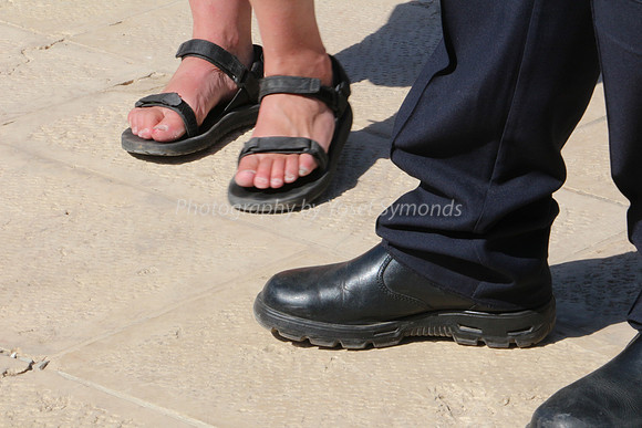 Don't Step on Me!