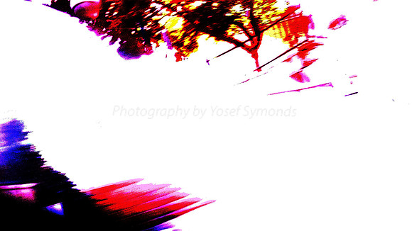 Jet Feathers Abstract