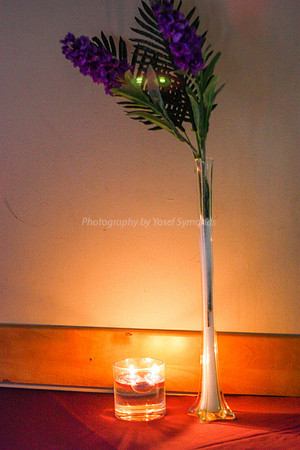Candles and Plant 170615
