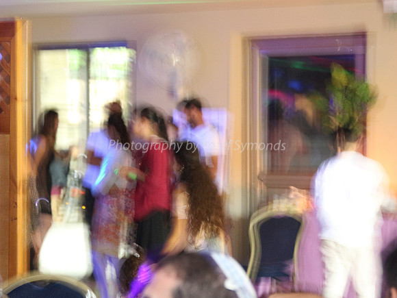 Impressionist Reception 170615-1