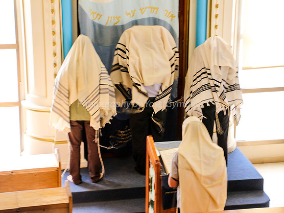 Priestly Blessing 1