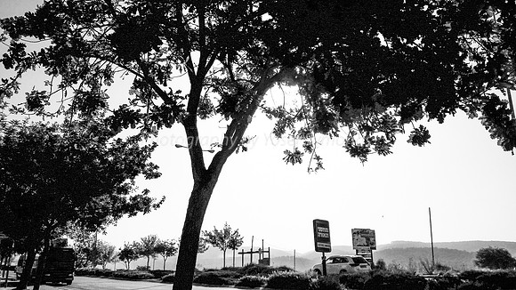 Early Morning Hayarden Street 170628-2