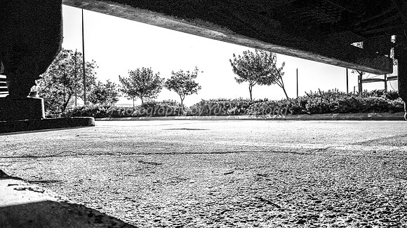 Cat's View of Hayarden RBSA 2