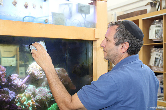 Cleaning Both Sides of Aquarium Wall with  Magnetic Unit 1