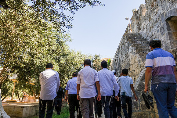 Returning Northwards Along East Wall 2