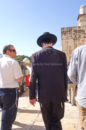Returning South Along Western Wall 5