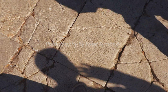 Texture of Paving on Temple Mount