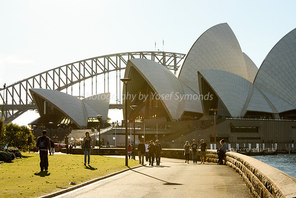 Harbour Path to Opera House 4
