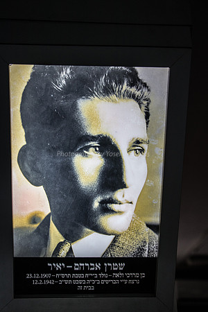 Avraham Stern Portrait