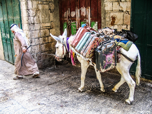 Arab and Mule in Lane Leading to Mount 050512-1