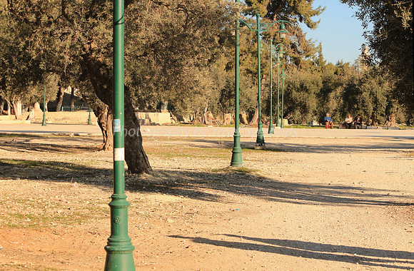 140209-HarHabayit-9795