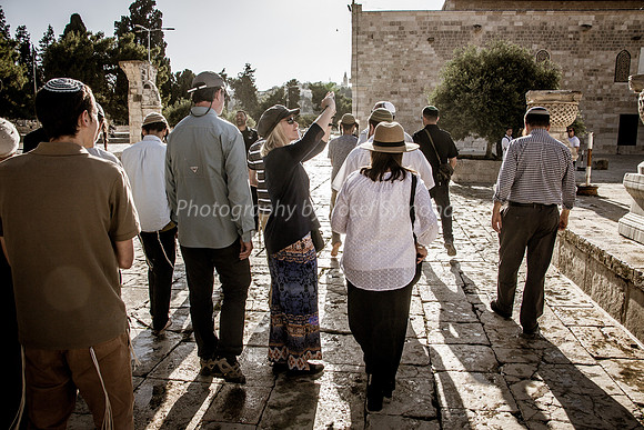 Local and Overseas Visitors Entering the Temple Mount 1